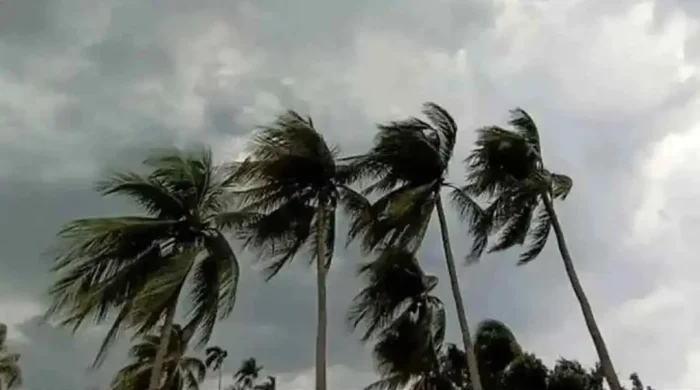 storm 20260729091049