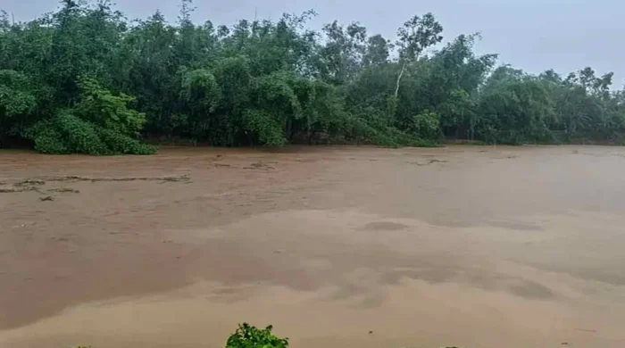 flood 20260801154607