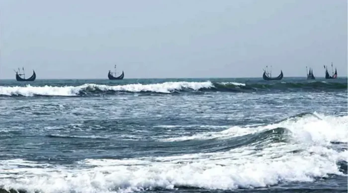 sea 20260811115551