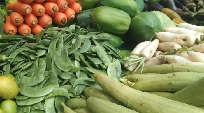vegetable 4 20260821114053 1