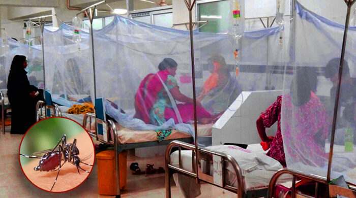 dengue 1750249102 1750253099