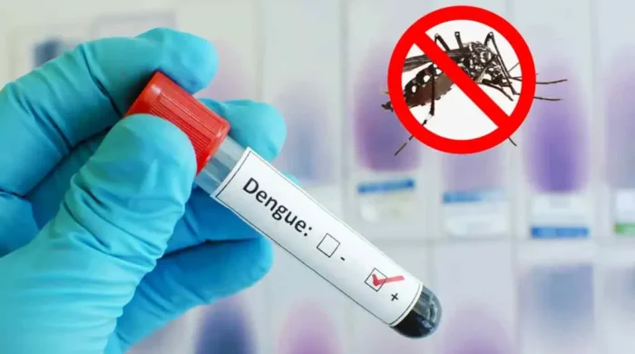 dengue 20260907173707