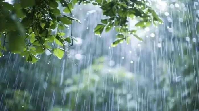 rain 20260903121554