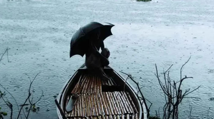 rain 7 20260921080556