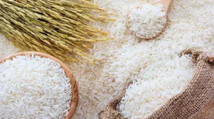 rice 20260908134757