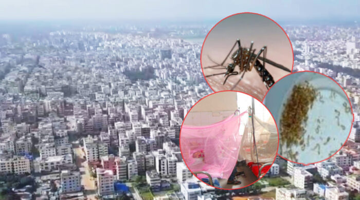 dengu dhaka