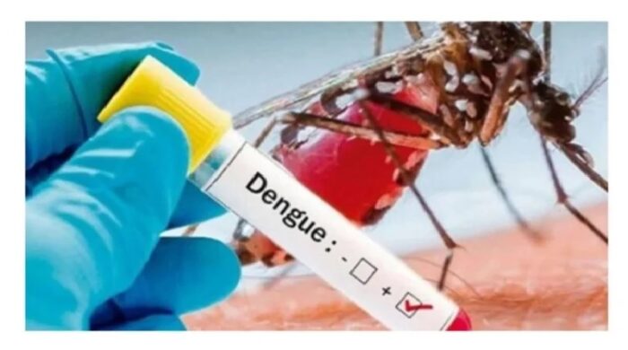 dengue 1751378740