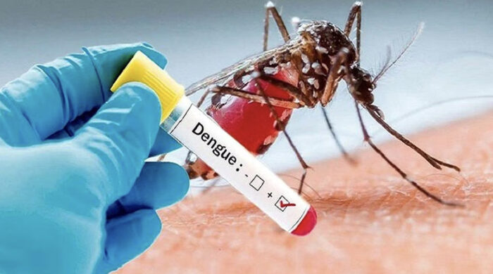 dengue 1751886844