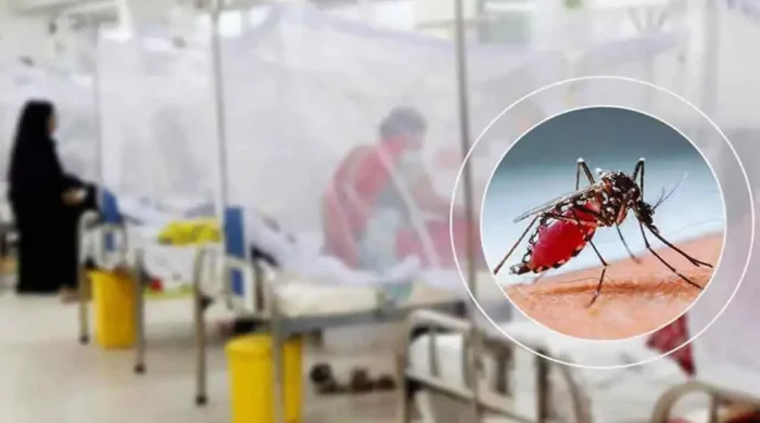 dengue 20261005170659