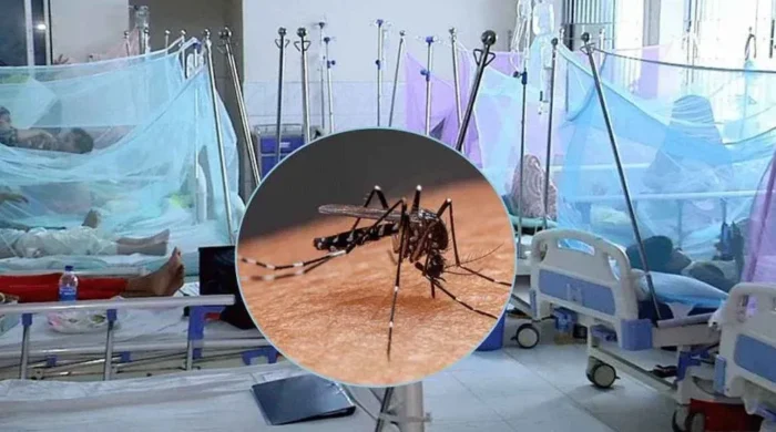 dengue 6a981933a7496 6ab909324b53c 6abe46c5713f6