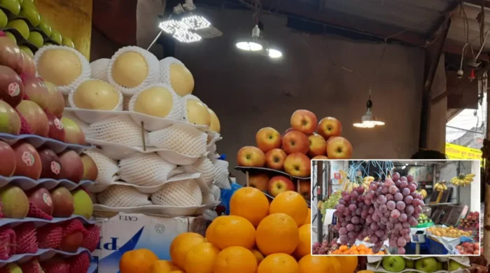 fruit 20261021220910