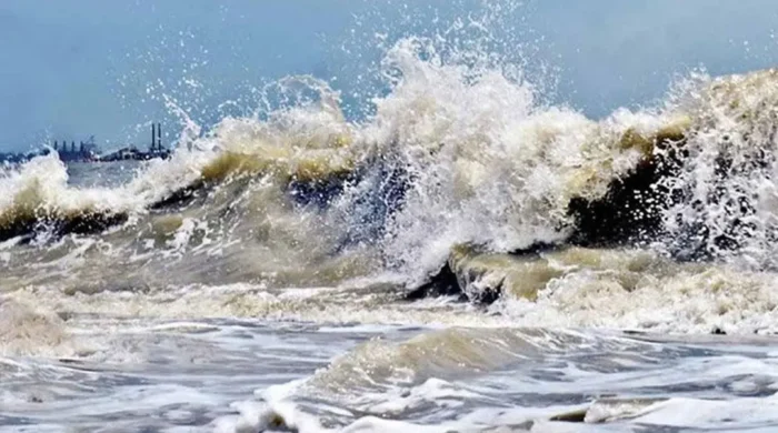 sea ican 20261012114121