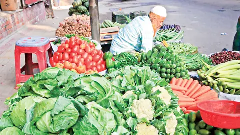 আগাম শীতকালীন সবজি উত্তাপ ছড়াচ্ছে বাজারে 8479d6 480x270 1